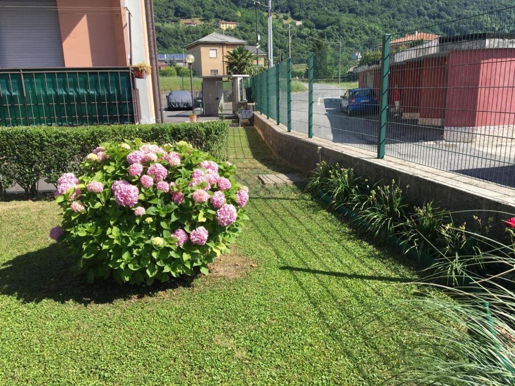 Big Family Bed & Breakfast Suello Εξωτερικό φωτογραφία